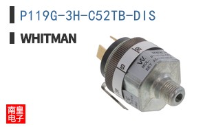 P119G-3H-C52TB-DIS ͼƬ